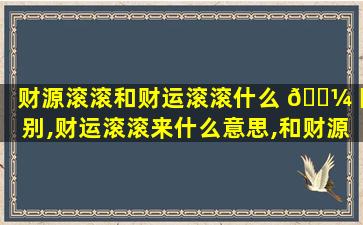 财源滚滚和财运滚滚什么 🐼 区别,财运滚滚来什么意思,和财源滚滚是 🐟 一个意思吗
